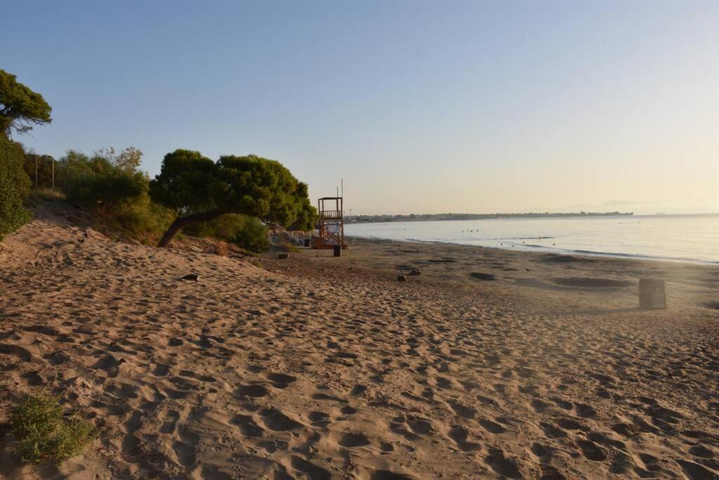 Seashell Apartment -Near The Beach Artemida  Exterior foto